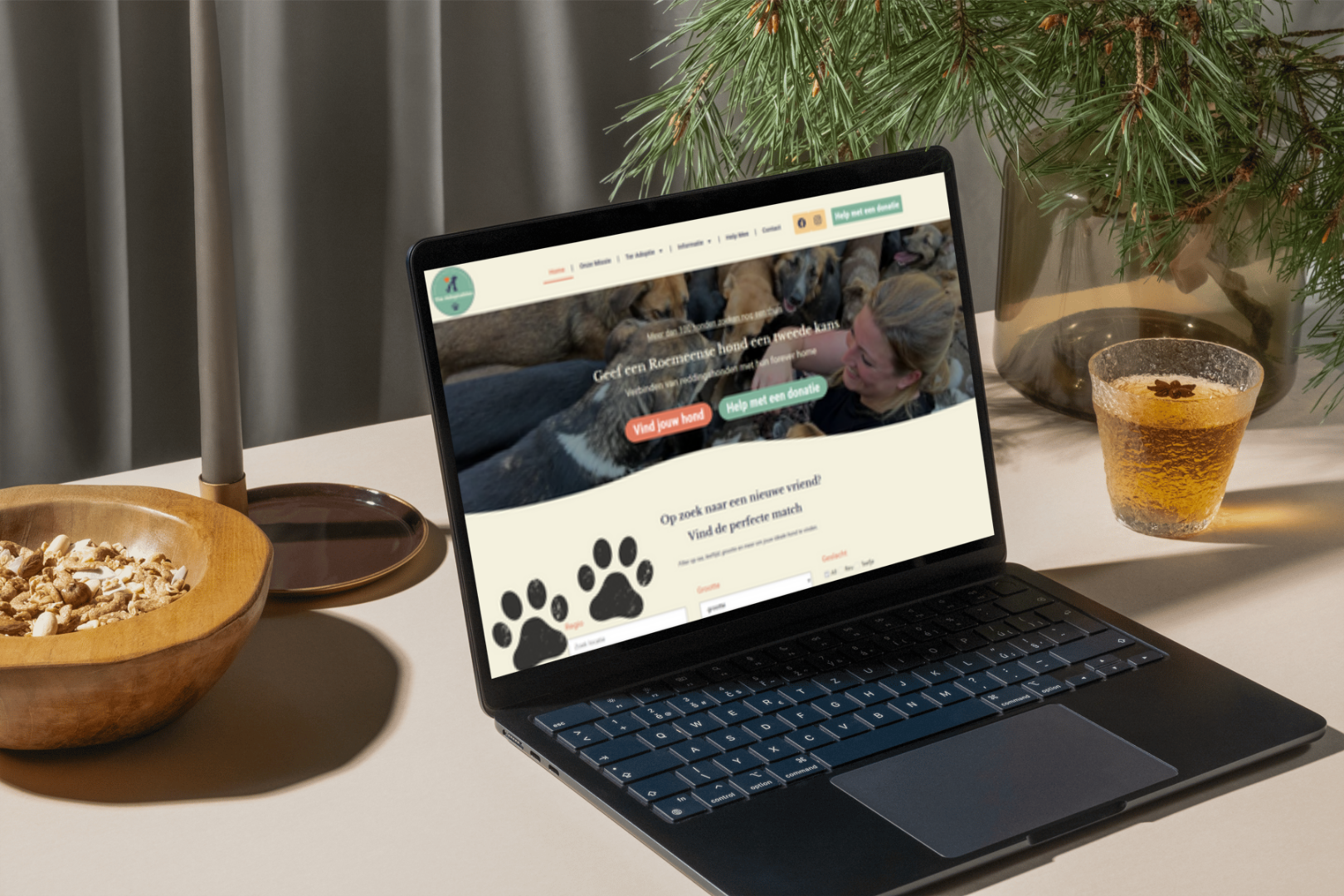 Custom adoptiemodule met filters en beheer.